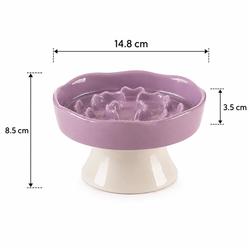 Elevated Ceramic Slow Feeder Bowl