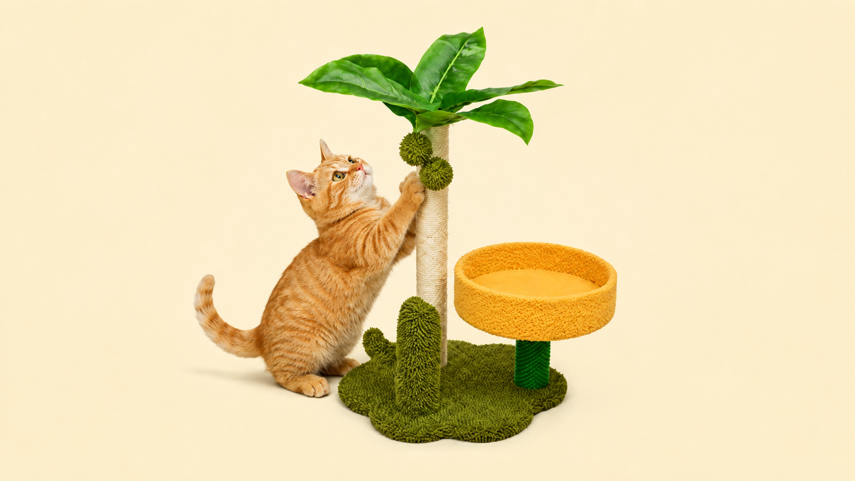 Cat Trees & Scratchers