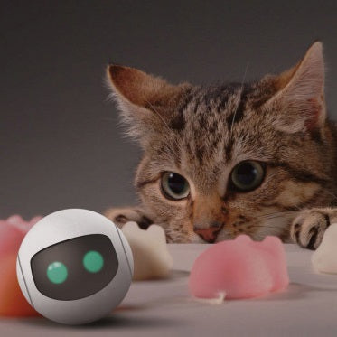 Smart Pet Gadgets
