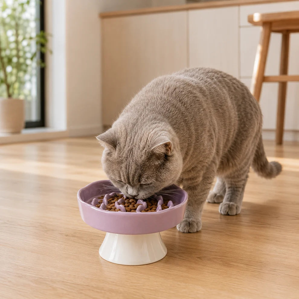 Elevated Ceramic Slow Feeder Bowl