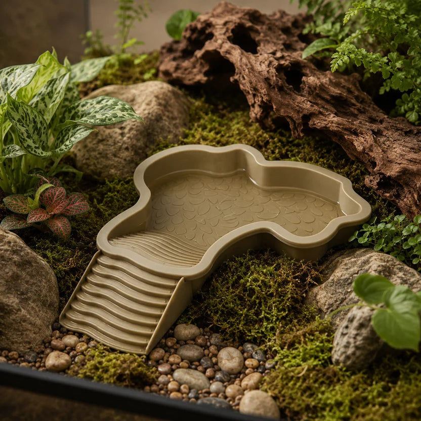 Reptile Bath Tub