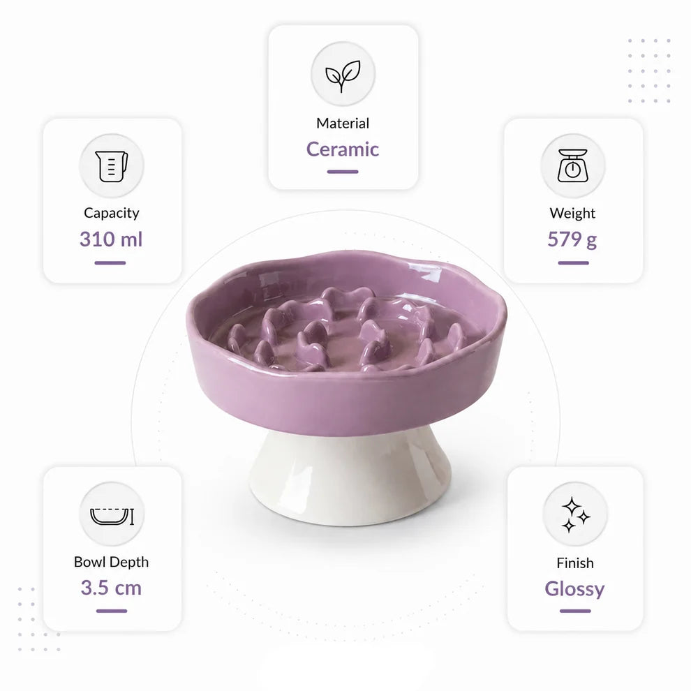 Elevated Ceramic Slow Feeder Bowl