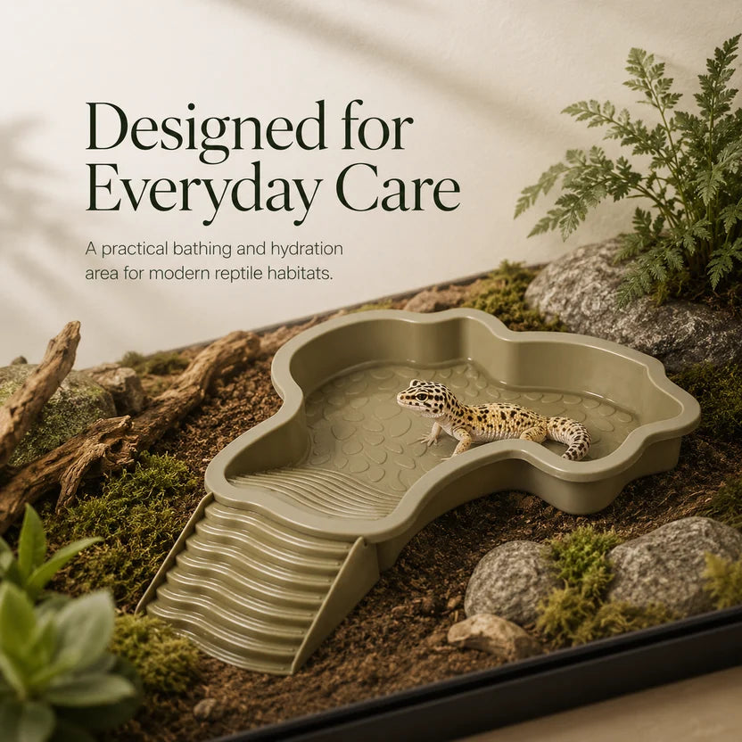Reptile Bath Tub