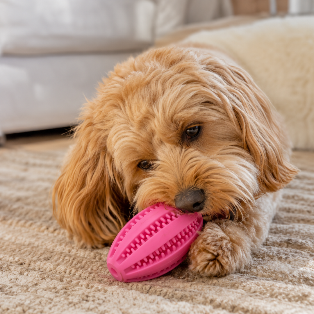 Interactive Natural Rubber Snack Ball Dog Chew Toy with Treat Holder and Bouncy Design - Pink