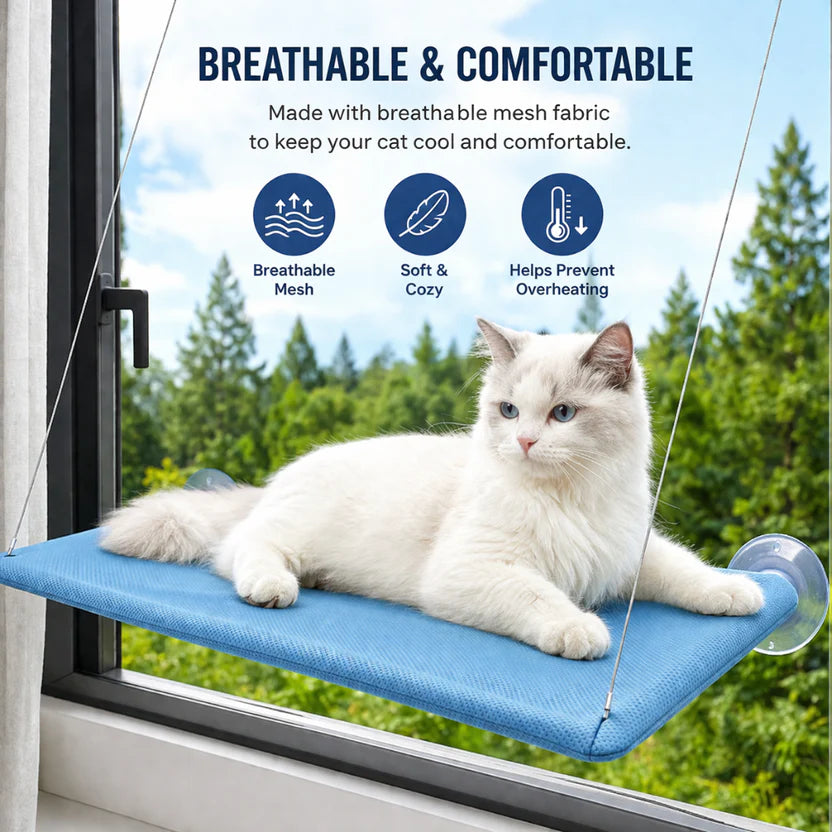 Heavy Duty Cat Window Perch Hammock Bed with Suction Mount Indoor Pet Lounge - Blue