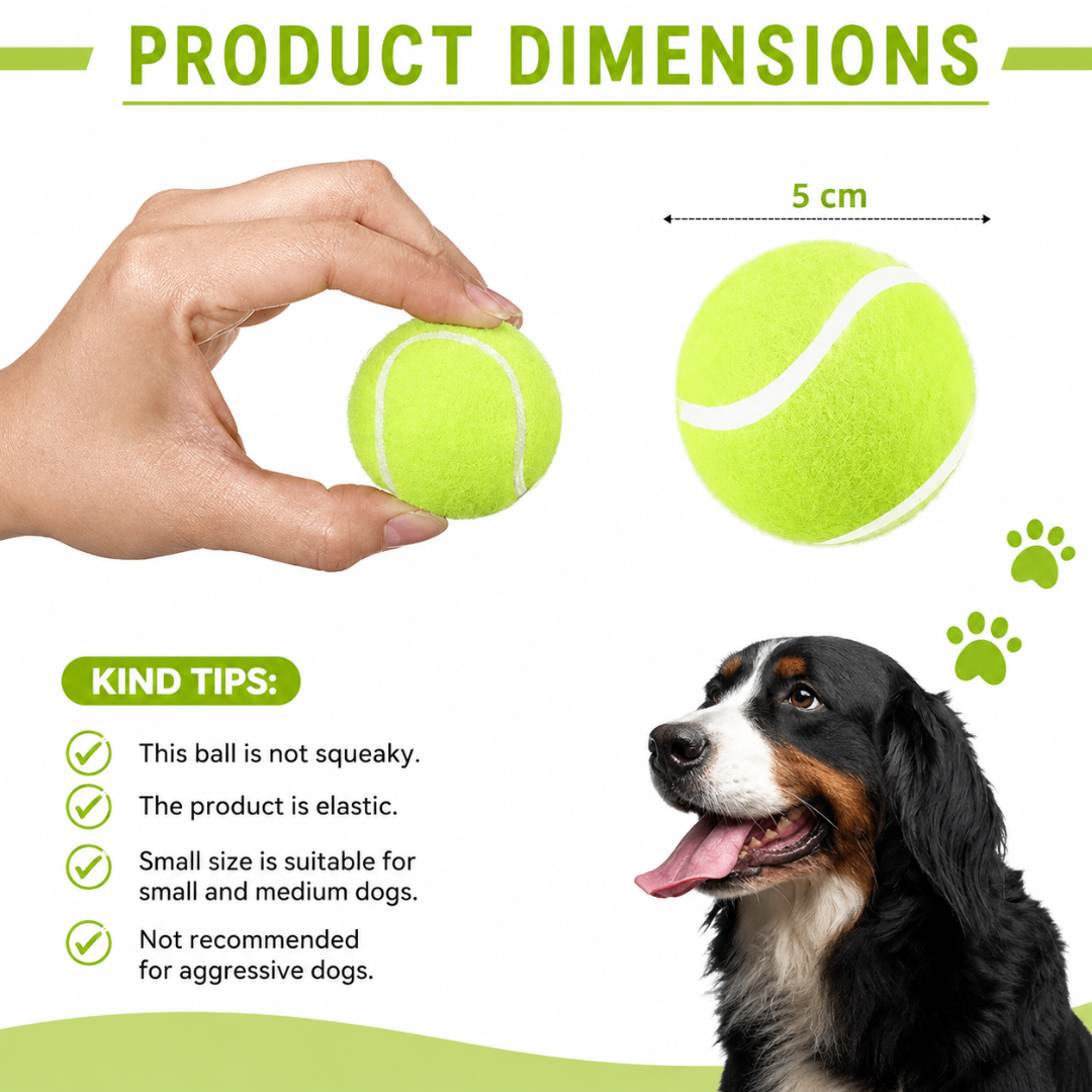 Dog Tennis Ball Set 12 Pack 5cm Launcher Compatible Fetch Balls for Small Dogs