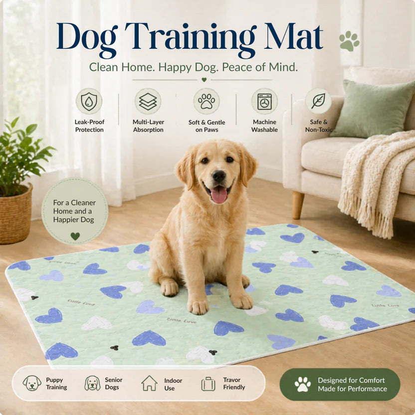 2-Pack Washable Pet Pads Reusable Anti Slip Dog Training Mats for Indoor Use