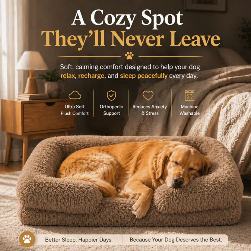 Square Pet Cushion Bed Thick Plush Sofa Style Mat for Indoor Cats and Dogs - Khaki