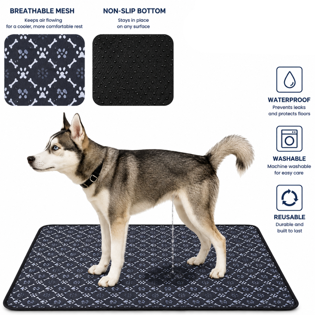 Absorbent Washable Pet Training Mat Reusable Dog Pad with Waterproof Layer