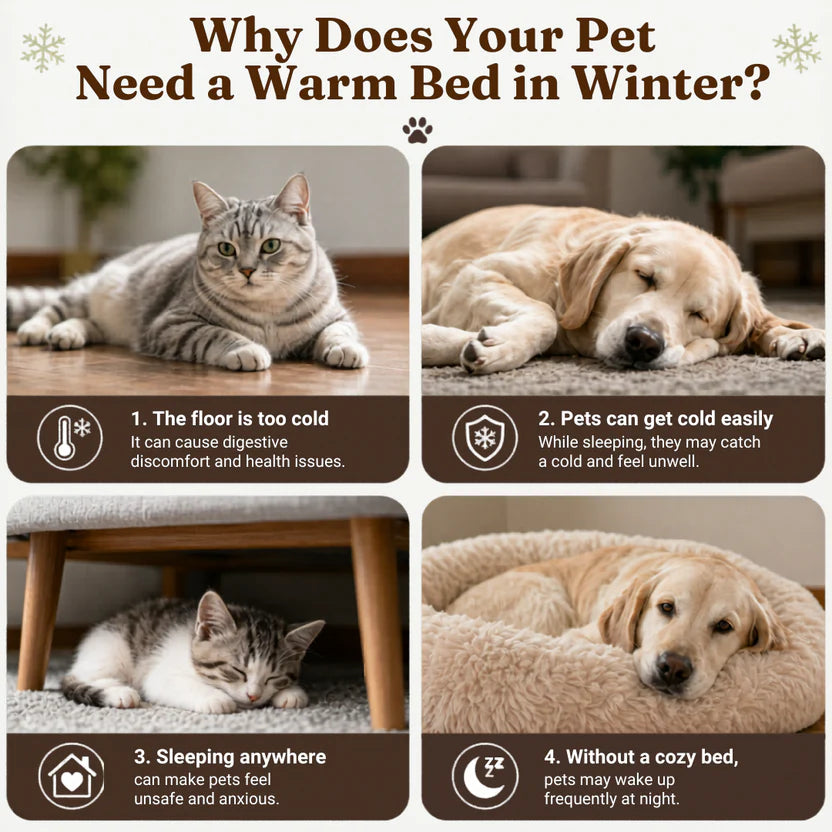 Soft Plush Cat Cave Bed Enclosed Pet Nest Cushion for Cats and Small Dogs - Purple