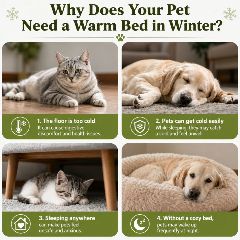 Enclosed Pet Bed Plush Cat Nest Soft Cushion House for Cats and Small Dogs - Green