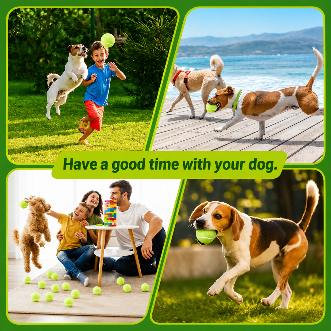 Dog Tennis Ball Set 12 Pack 5cm Launcher Compatible Fetch Balls for Small Dogs
