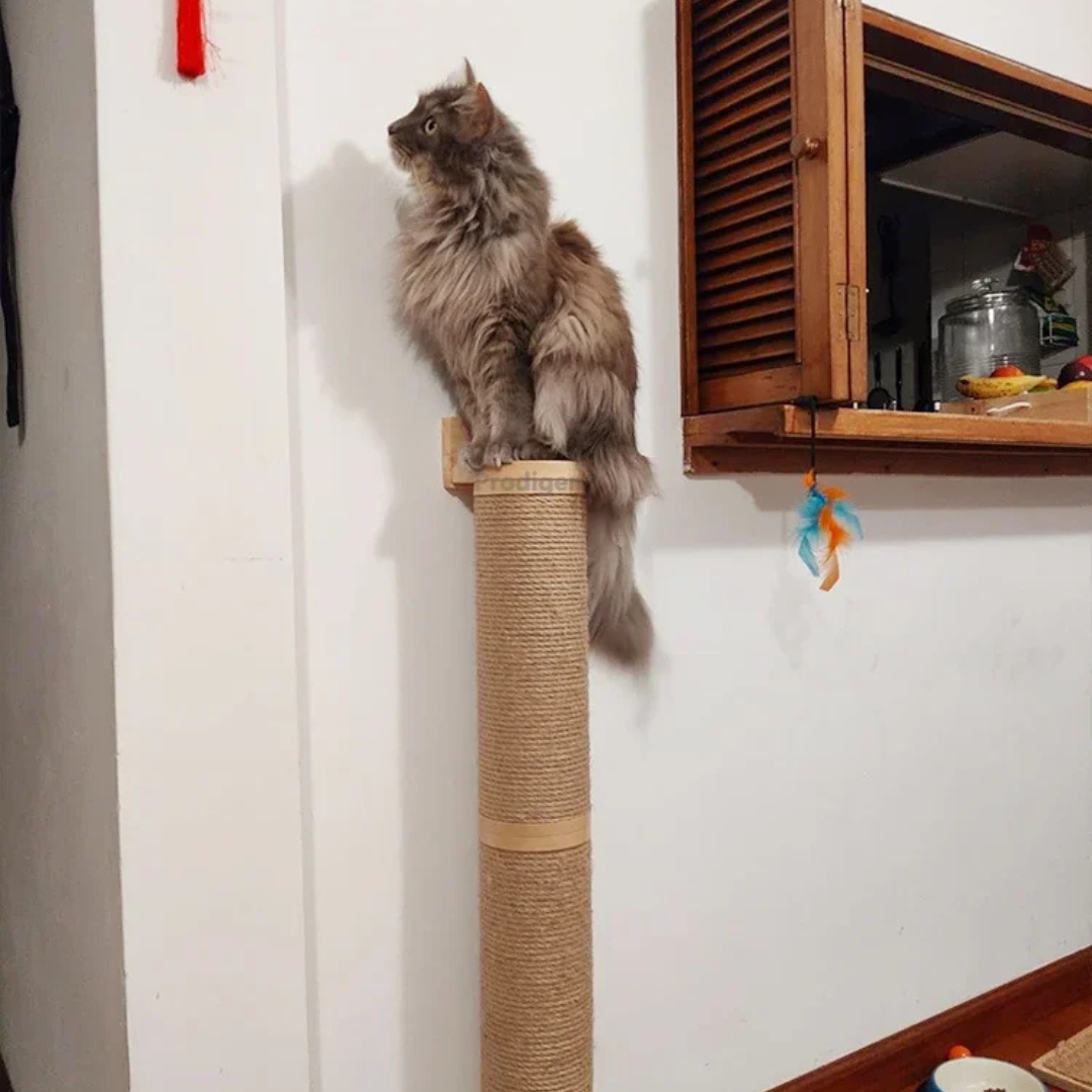 Wall Mounted Cat Scratching Post Wooden Climbing Furniture for Large and Small Cats 73CM