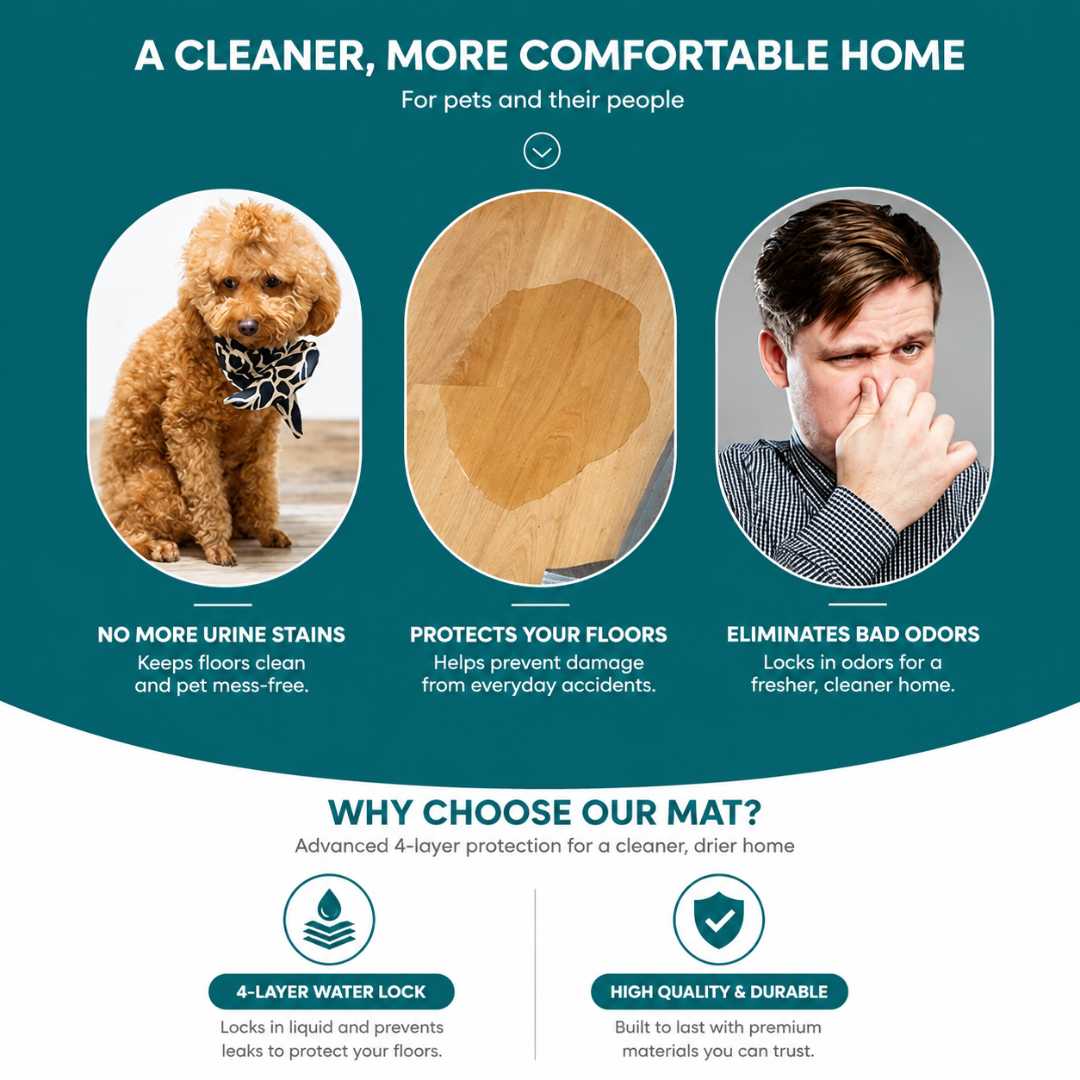 Absorbent Washable Pet Training Mat Reusable Dog Pad with Waterproof Layer