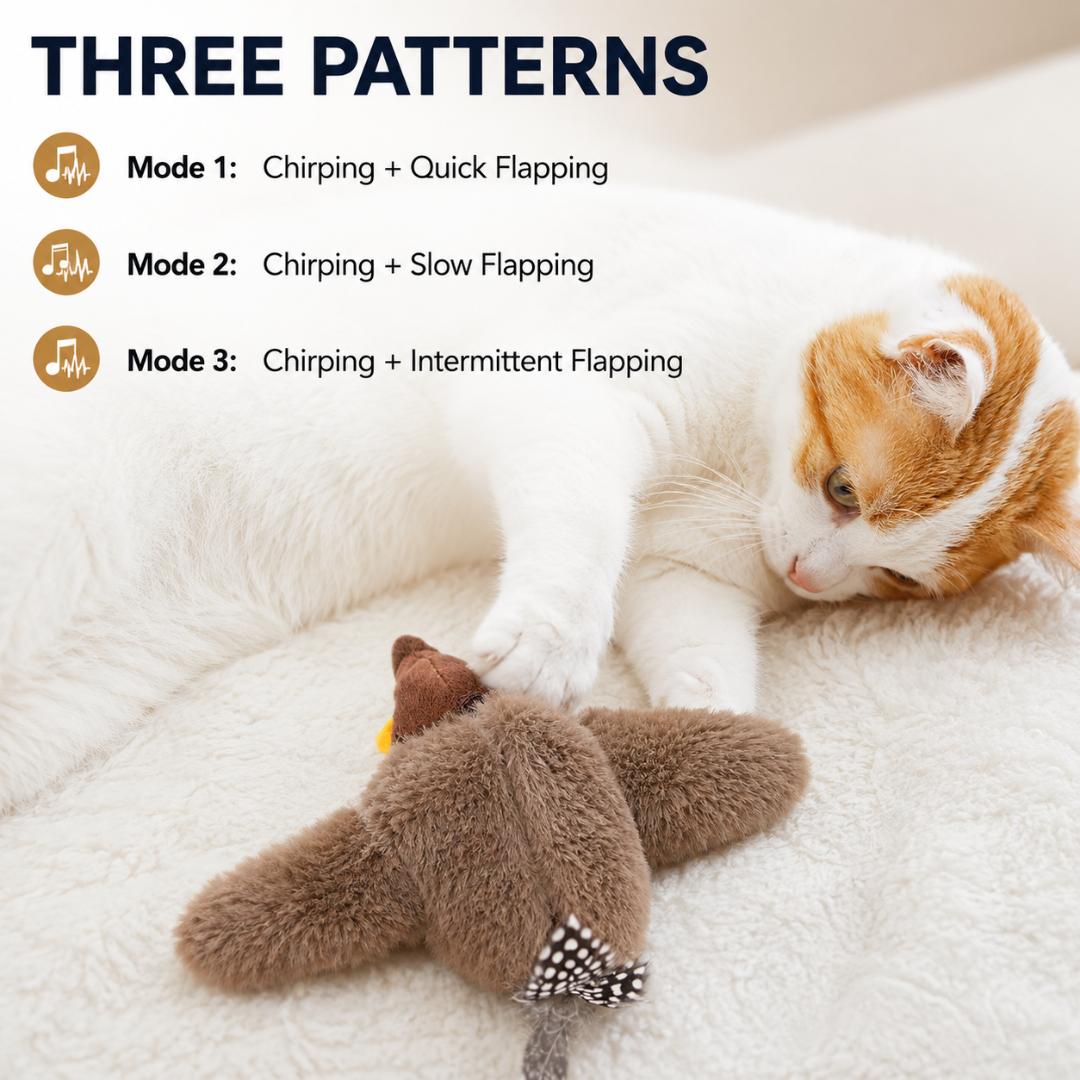 Touch Activated Plush Bird Cat Toy Rechargeable Interactive Play Toy for Indoor Cats