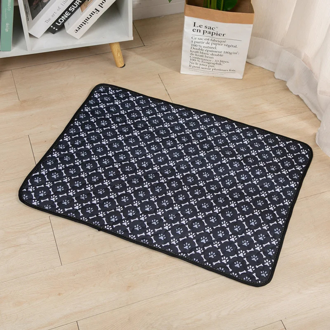 Absorbent Washable Pet Training Mat Reusable Dog Pad with Waterproof Layer