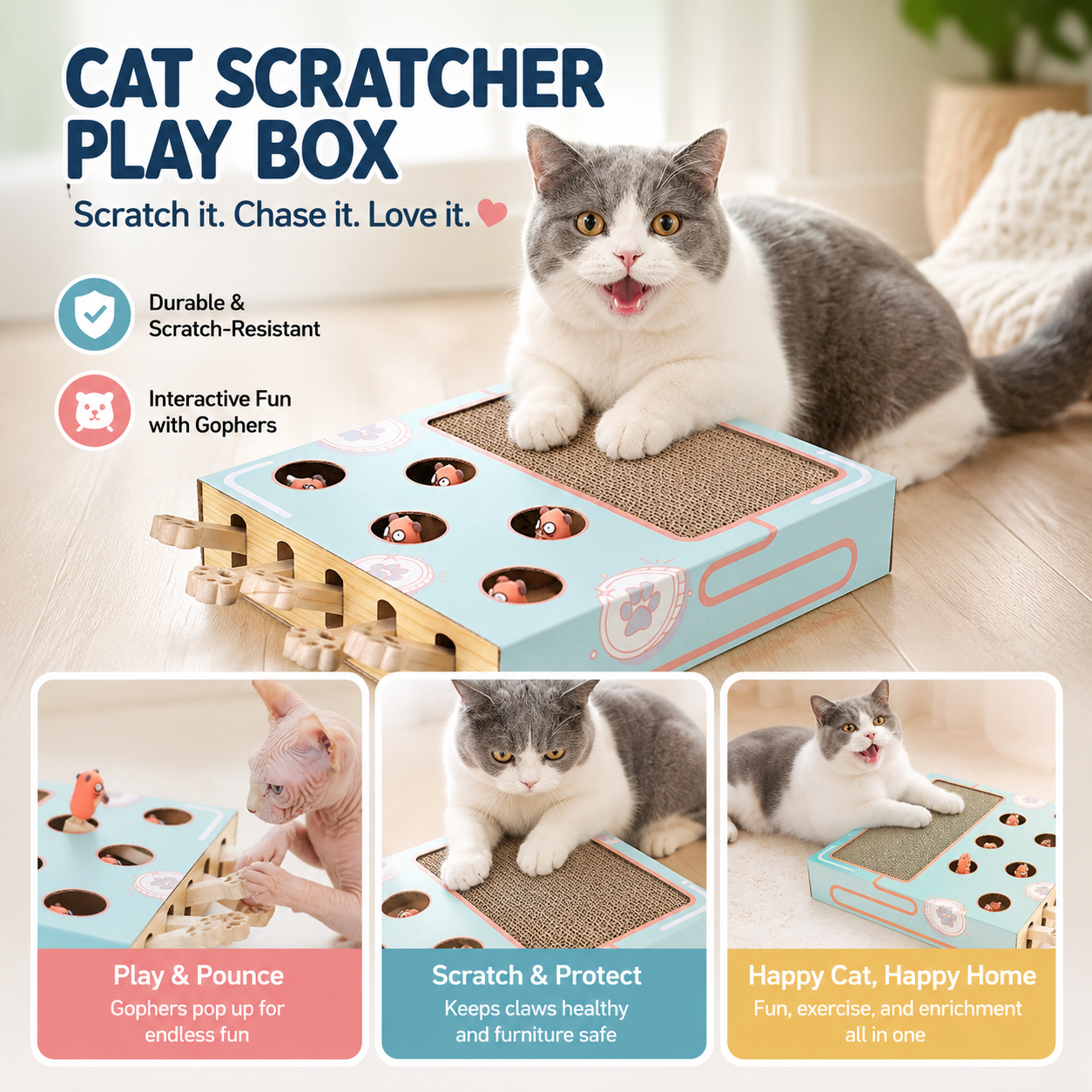 Blue Cat Maze Play Box Interactive Hunting Toy with Scratcher