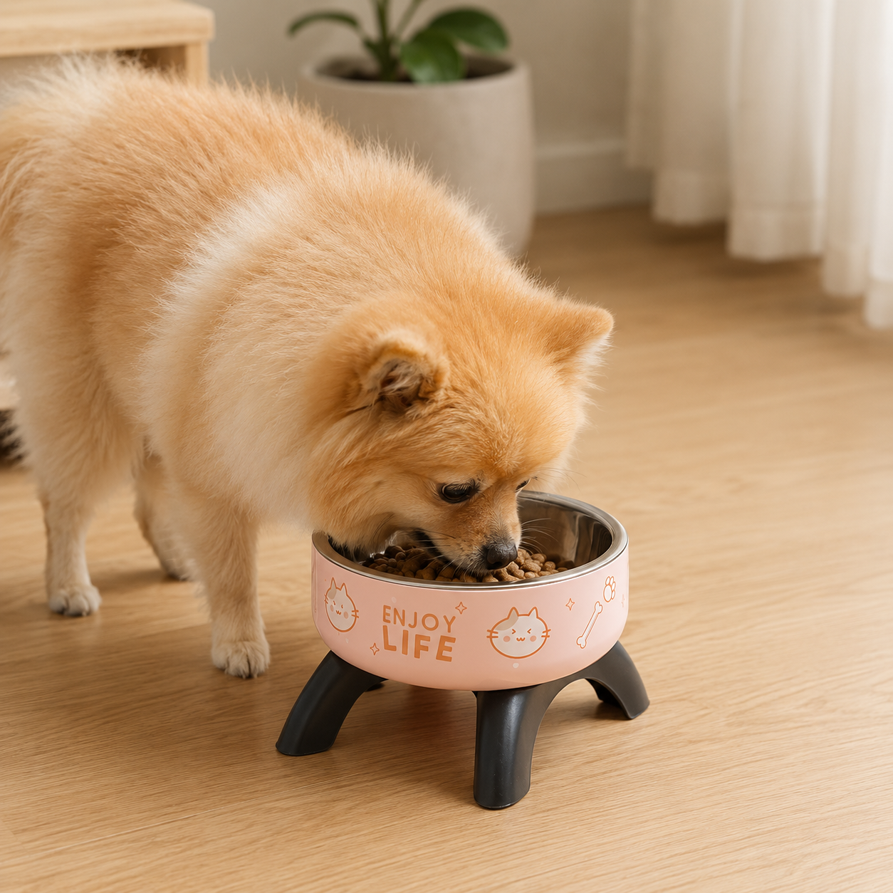 Stainless Steel Pet Feeding Bowl with Non-Slip Base for Cats and Small Dogs