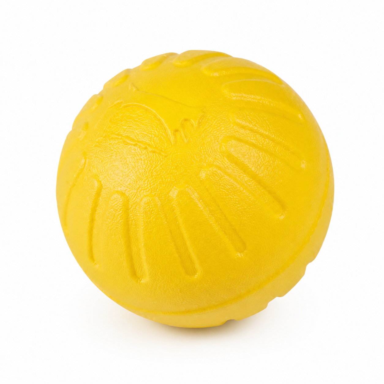9CM Dog Medicine Ball Toy
