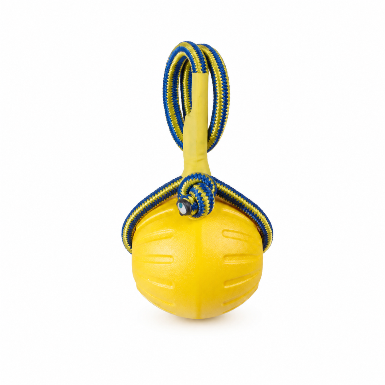 9CM Handheld Ball Dog Toy