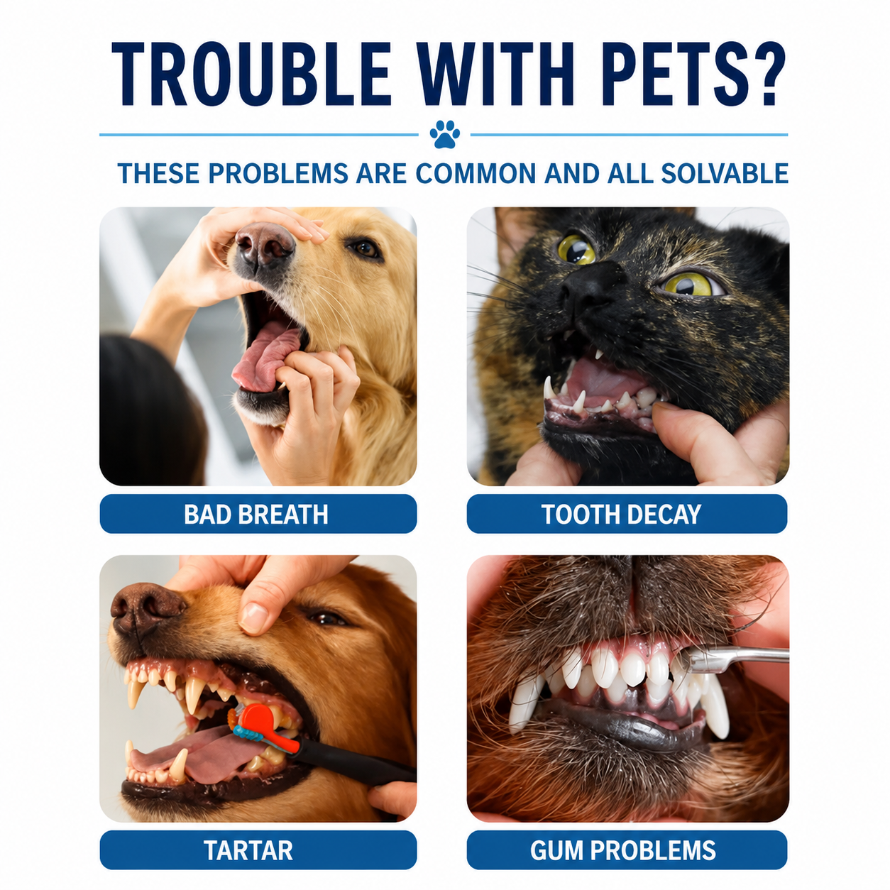 Soft Bristle Pet Toothbrush for Cats and Small Pets Oral Care Grooming Tool