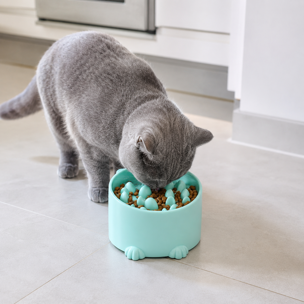 Raised Slow Feed Bowl for Cats and Small Dogs - Green