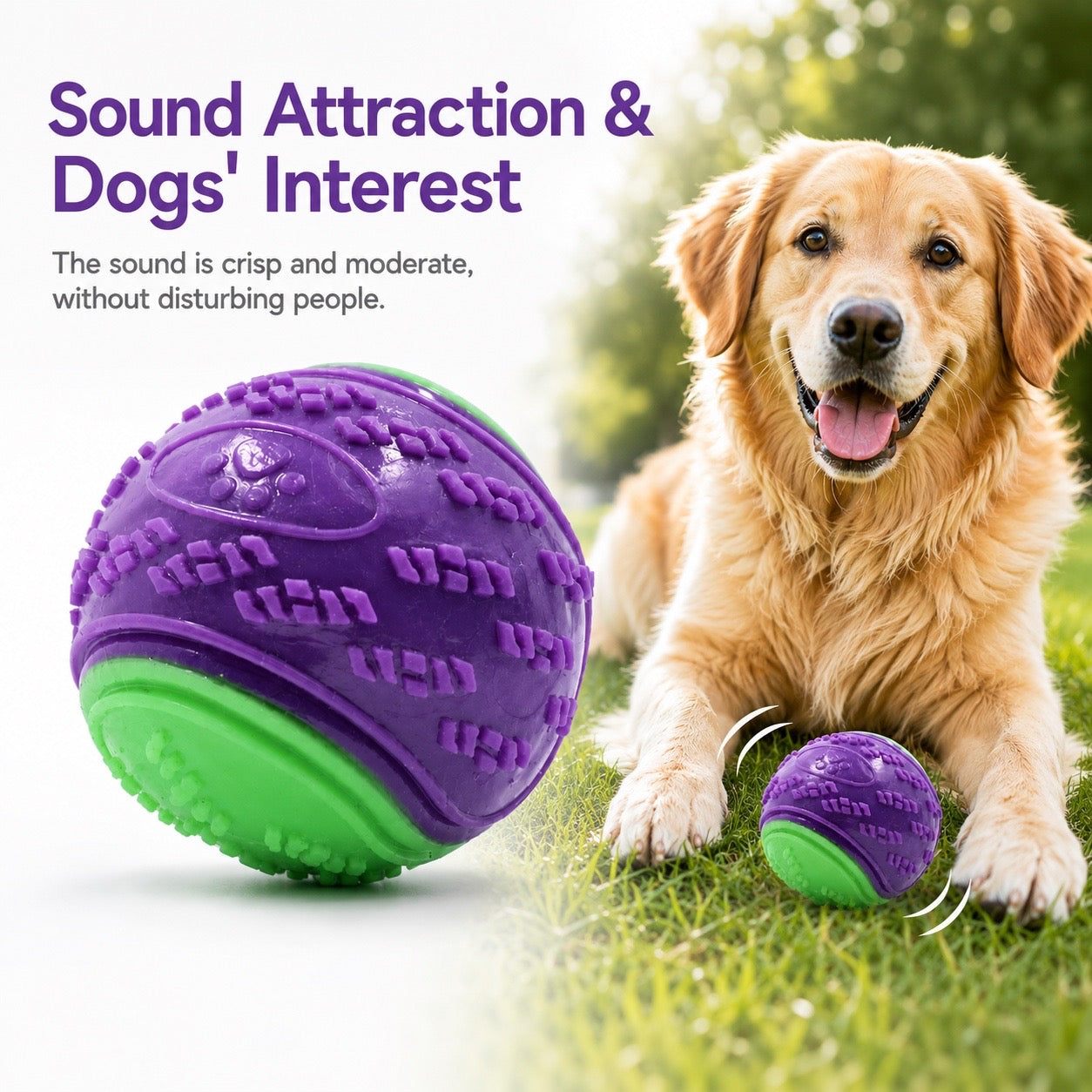 Silicone Dog Chew Ball Squeaky Training Toy for Puppies and Dogs - Green Violet