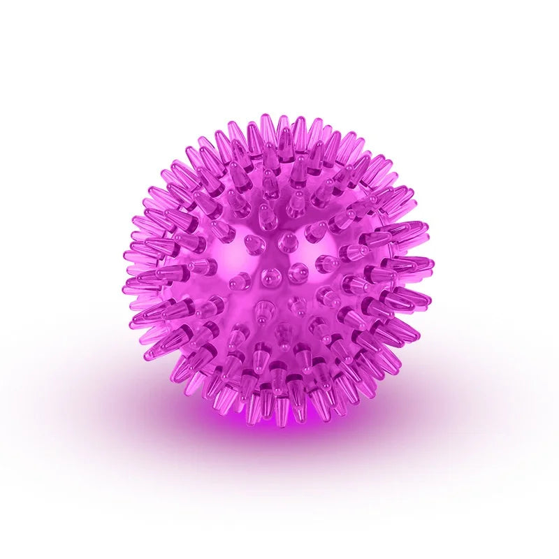 Multi-Size Interactive Pet Ball Toy for Dogs Chew Fetch and Play - Purple