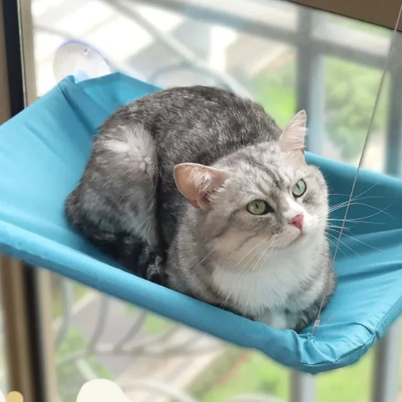Heavy Duty Cat Window Perch Hammock Bed with Suction Mount Indoor Pet Lounge - Blue