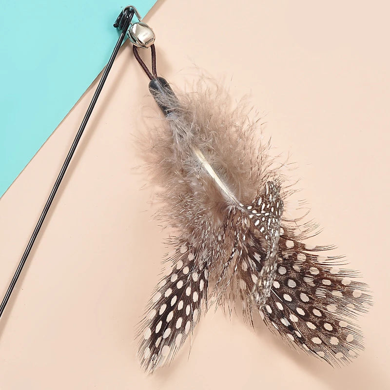 Interactive Cat Wand Toy with Feather, Spring and Bell for Kitten Play