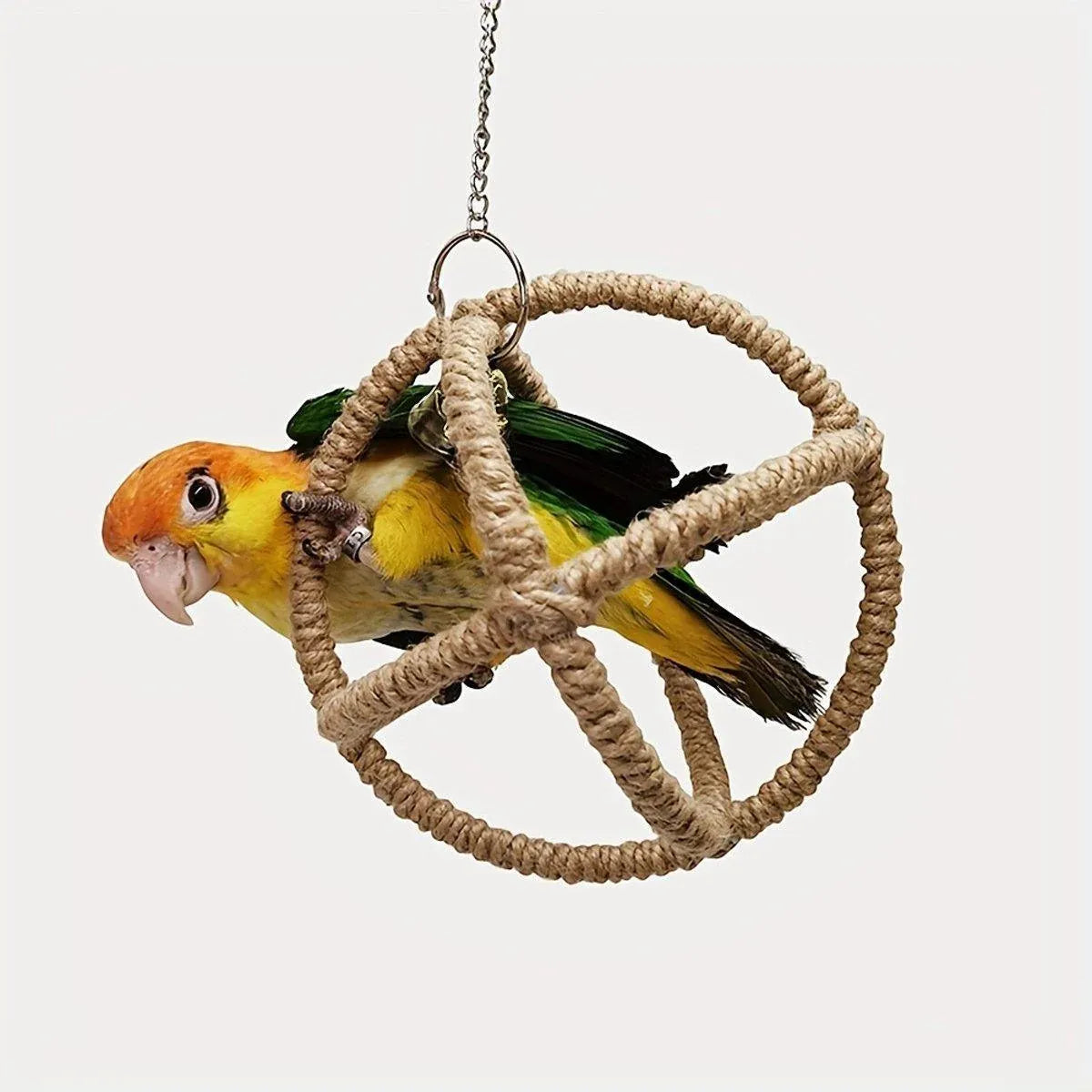 Hanging Parrot Ball Swing Toy with Bell