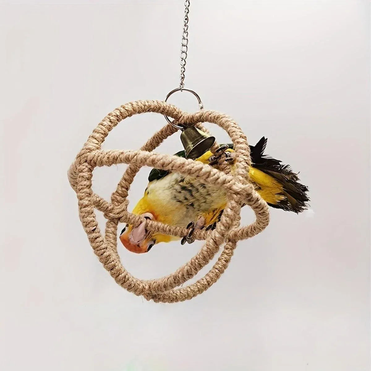 Hanging Parrot Ball Swing Toy with Bell