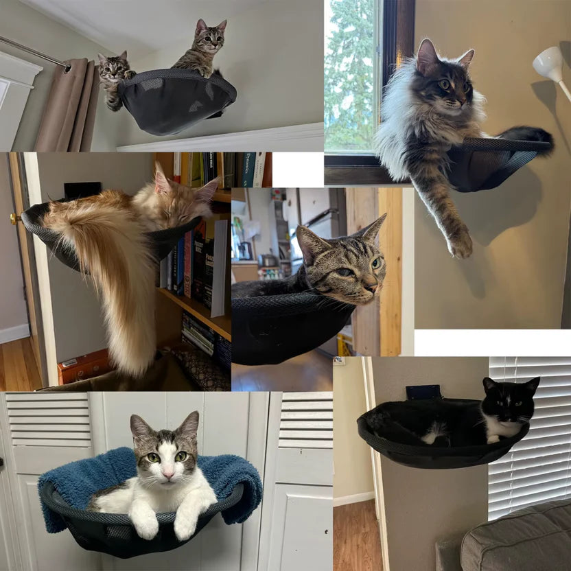 Wall Mounted Cat Hammock Perch Foldable Indoor Metal Frame Shelf - Black