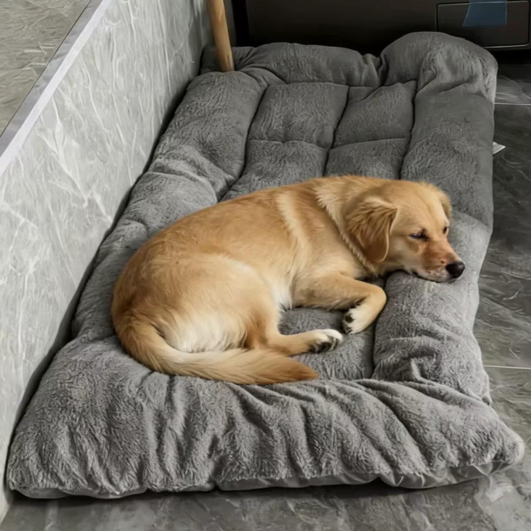 Thick Plush Pet Bed Mat Breathable Dog Sofa Cushion for Indoor Use