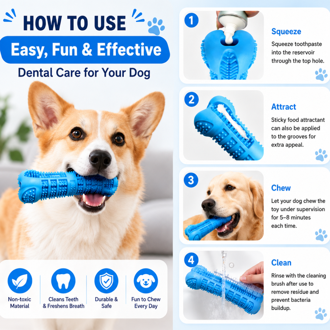 Soft Rubber Dog Toothbrush Toy