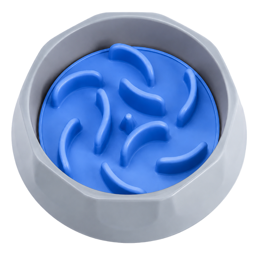 Slow Feeder Dog Bowl - Blue