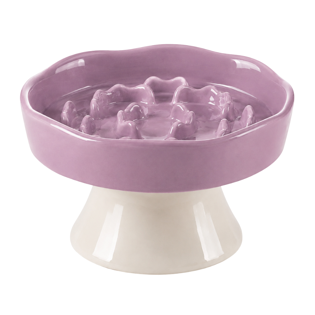 Elevated Ceramic Slow Feeder Bowl