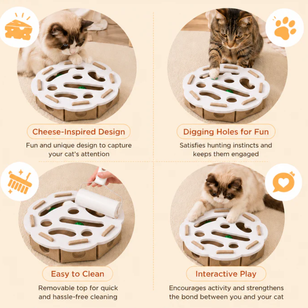 Felt Cat Maze Play Box with Bell Ball Interactive Toy for Kittens and Cats - Round White